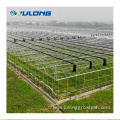 Multi span Tomato film material agricultural greenhouse